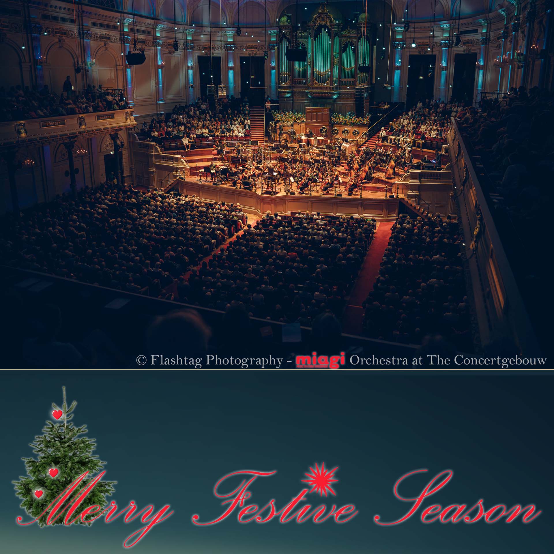 Season's Greetings 2025 from MIAGI